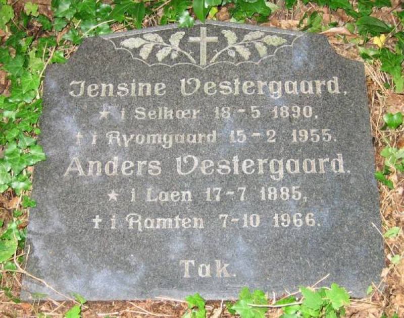 Anders Vestergaard.jpg